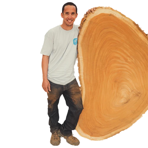 JOSHUA GREENSPAN standing next to a large cut piece of a tree