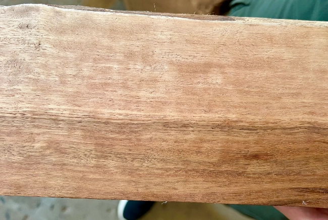 Sample of Ironbark Wood