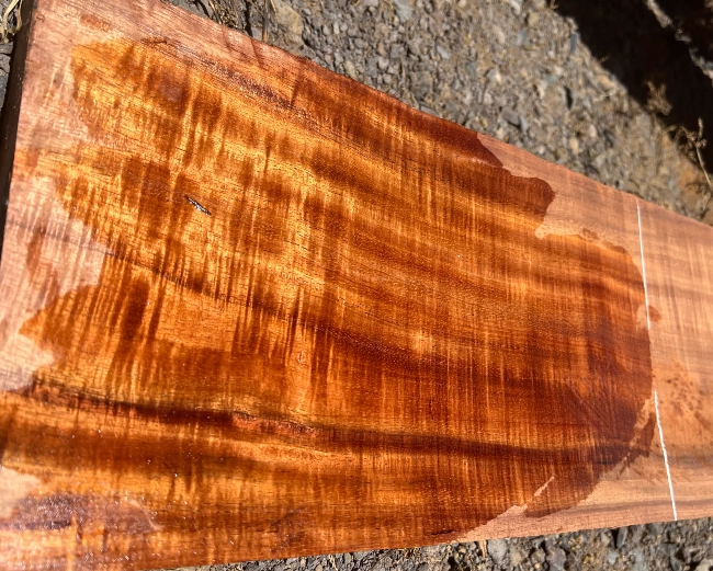 Sample of Koa Wood