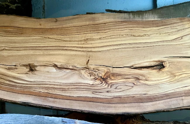 Sample of Olive wood