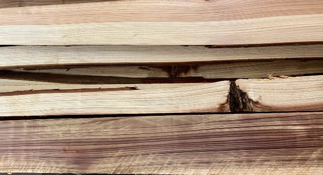 Sample of Sugi Wood