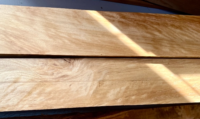 Sample of Tallow Wood