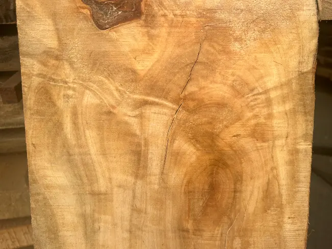 A sample of Cinnamon Wood