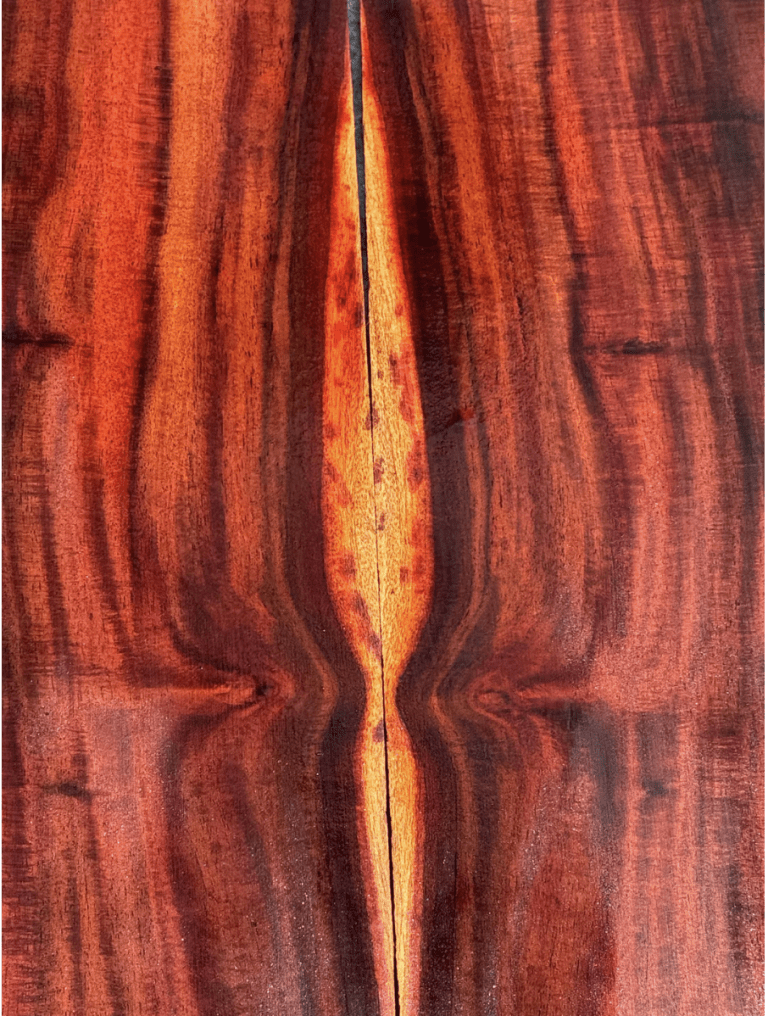 Milo Ukulele Building Sets