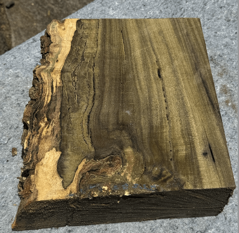 Rare Prized Blue Mahoe